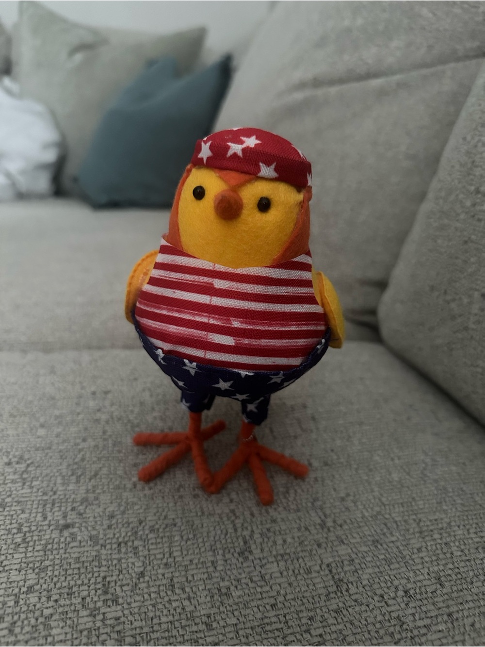 Featherly Friends Americana Swim Trunks Target Bird - Sun Squad (Drummer, 2022)